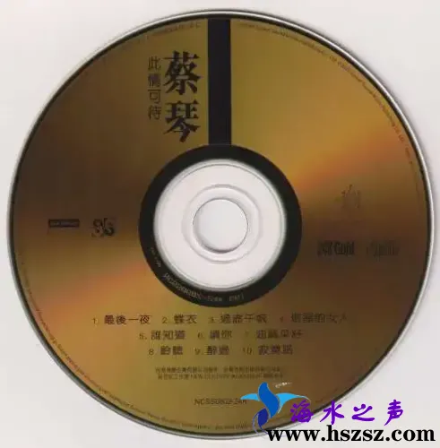 此情可待
