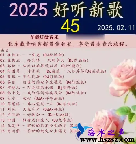 群星DJ《2025好听新歌45》.webp
