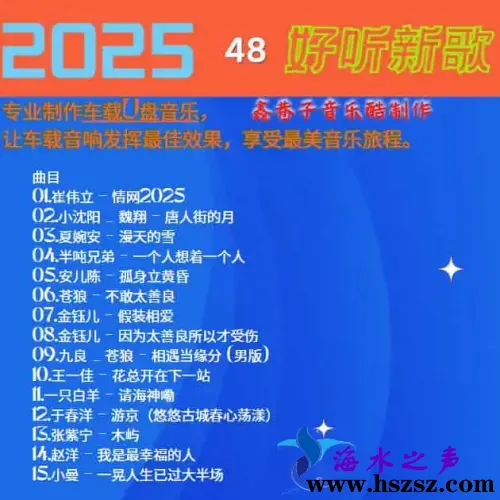 群星《2025好听新歌48》.webp