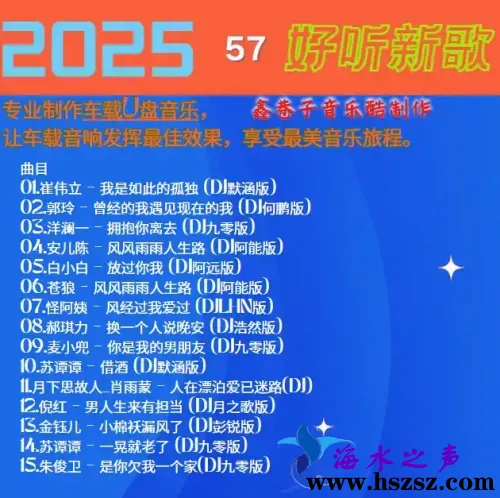 群星DJ《2025好听新歌57》57.webp