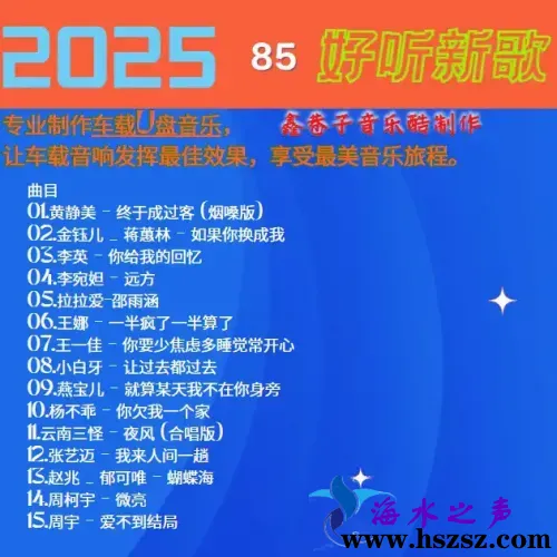 群星《2025好听新歌85》.webp