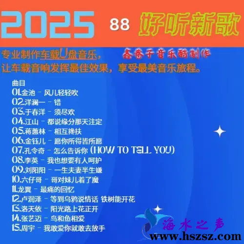 群星《2025好听新歌88》.webp