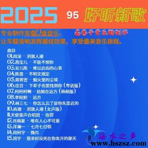 群星《2025好听新歌95》.webp