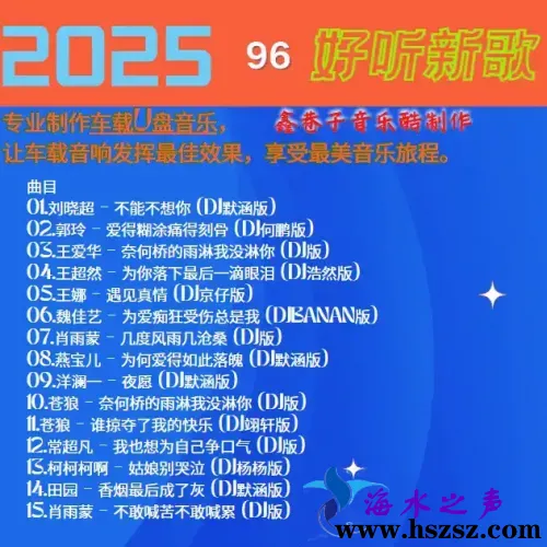 群星DJ《2025好听新歌96》.webp