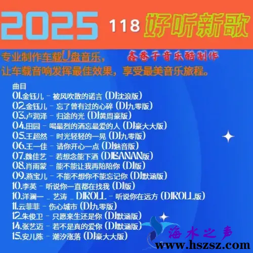 群星DJ《2025好听新歌118》.webp