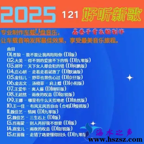 群星DJ《2025好听新歌121》.webp