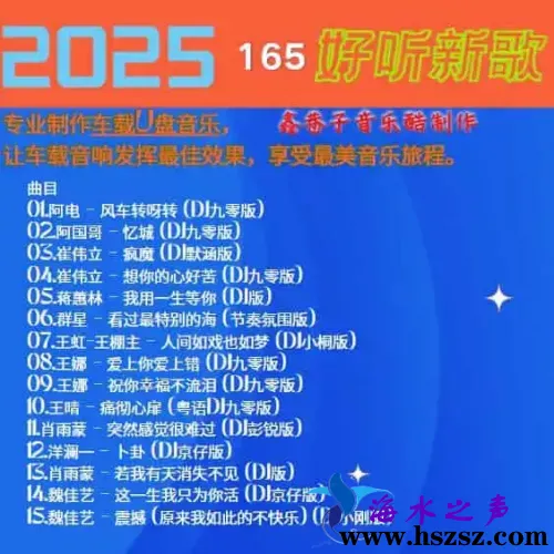 群星DJ《2025好听新歌165》.webp