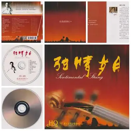 弦情岁月.webp