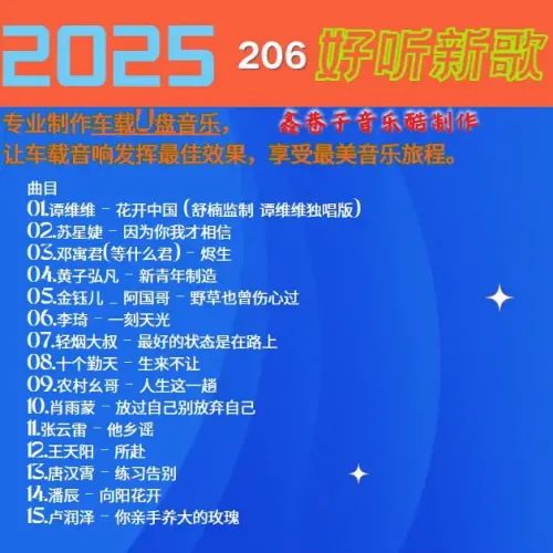 206.webp