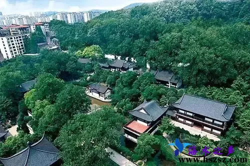 魅力东宝3.webp
