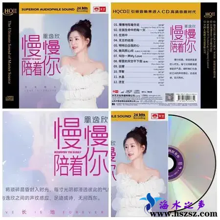 慢慢陪着你.webp