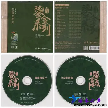 蔷薇处处开.webp
