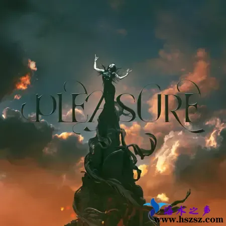 蔡依林Pleasure.webp