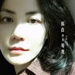 王菲你在终点等我.webp