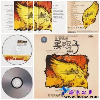 流行的经典.webp