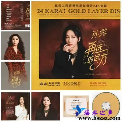 孙露再远的远方.webp