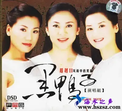 风雨中的美丽.webp