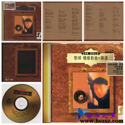 情缘新曲.webp
