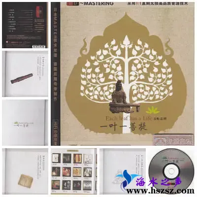 一叶一菩提.webp