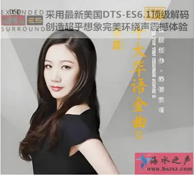 十大华语金曲2.webp