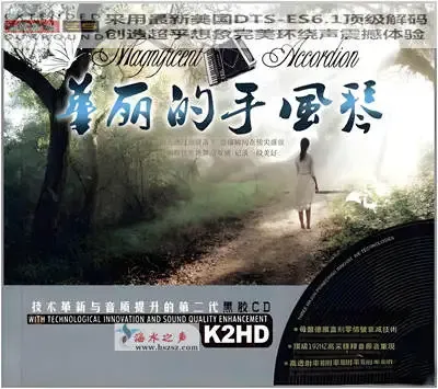 华丽的手风琴.webp
