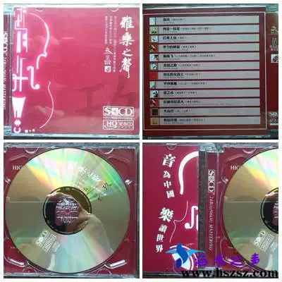 雅乐之声-第九届.webp