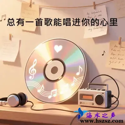 总有一首歌能唱进你的心里.webp
