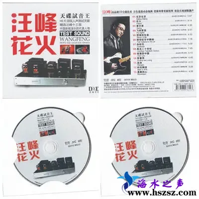试音汪峰.webp