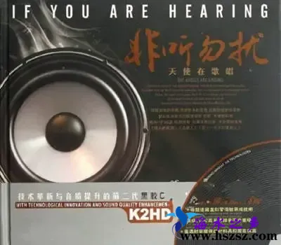 非听勿扰·天使在歌唱.webp