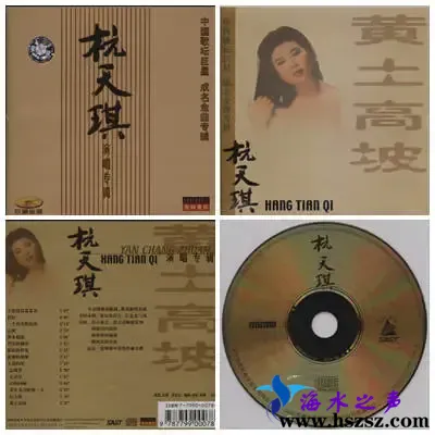 杭天琪.webp