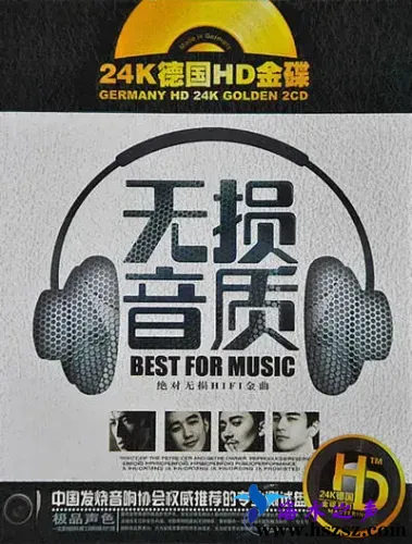 绝对无损.webp