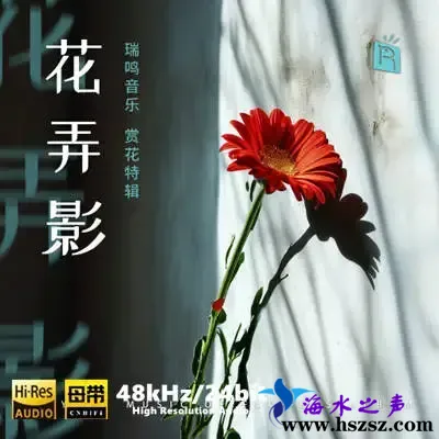 花弄影.webp