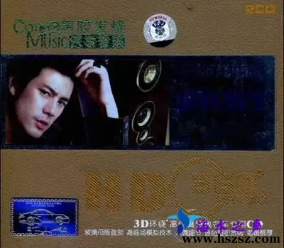 低烧王感怀男生.webp