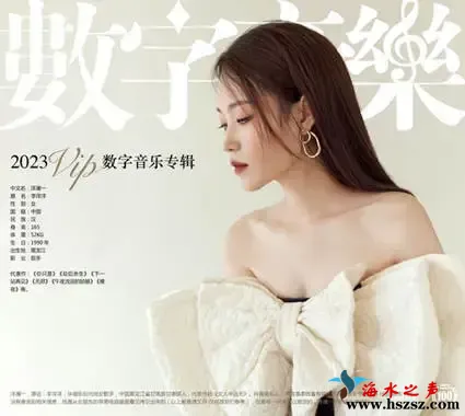 2023 数字音乐精选集.webp