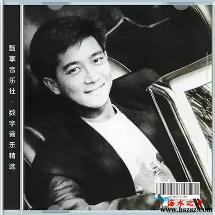 数字音乐精选.webp