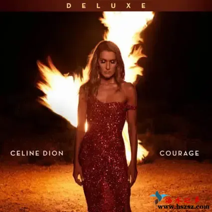 勇气 (Courage (Deluxe Edition).webp