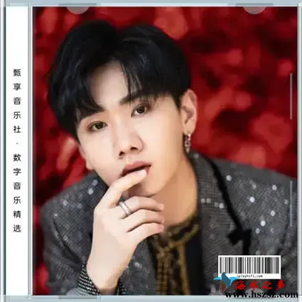 数字音乐精选.webp