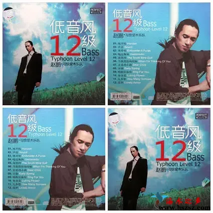 低音风12级.webp