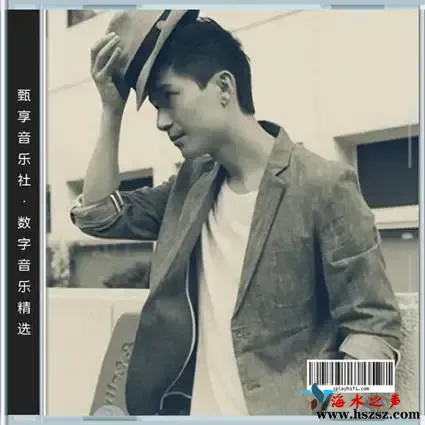 数字音乐精选71首.webp