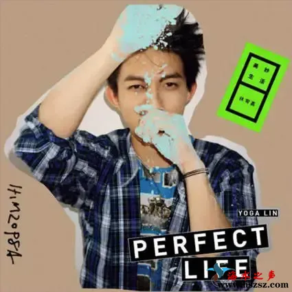 美妙生活 PERFECT LIFE.webp