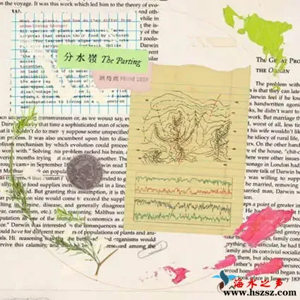 分水岭 The Parting.webp