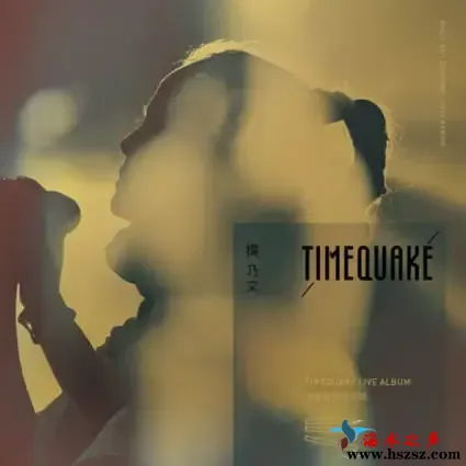 TIMEQUAKE 演唱会现场实录.webp