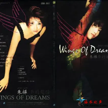 梦的翅膀.webp