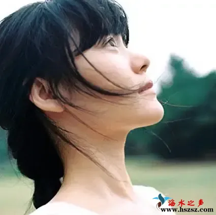 BEST COLLECTION 2012-2016.webp