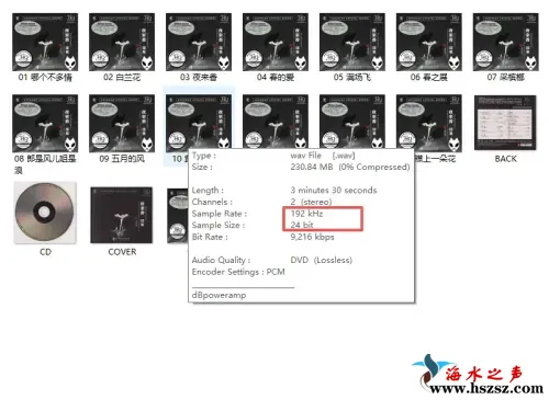 李小沛   夜来香·印象