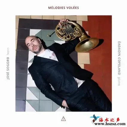 失窃的旋律 Mélo**s Volées.webp