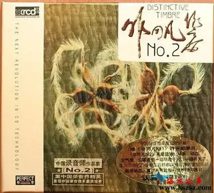 非同凡响 NO.2.webp