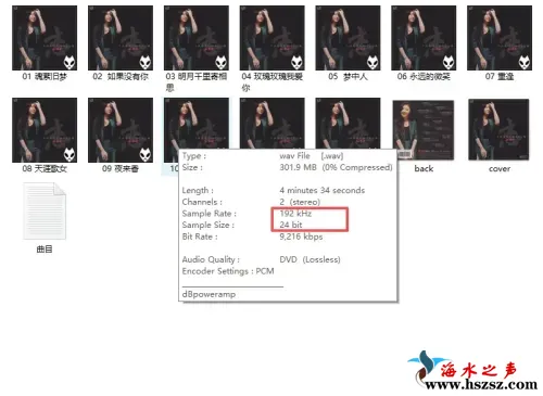 姚璎格   恋.上海
