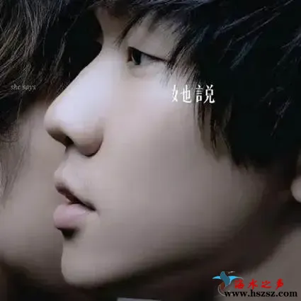 她说 概念自选集.webp