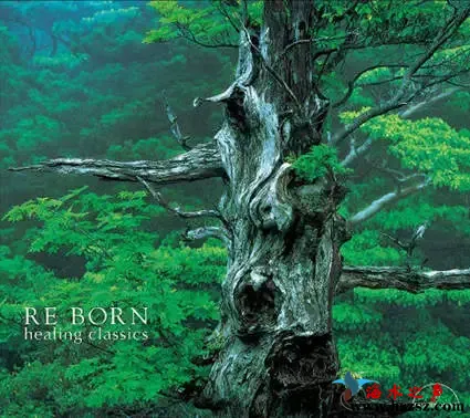 (Re Born) 纯音乐.webp